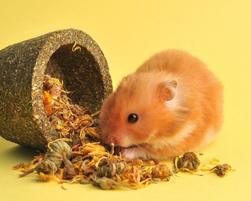 Design Uden Navn 5 Design Uden Navn 5